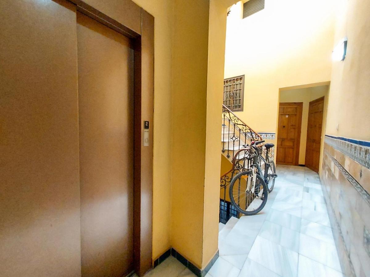 Apartamento Alameda Calatrava Sevilla Buitenkant foto